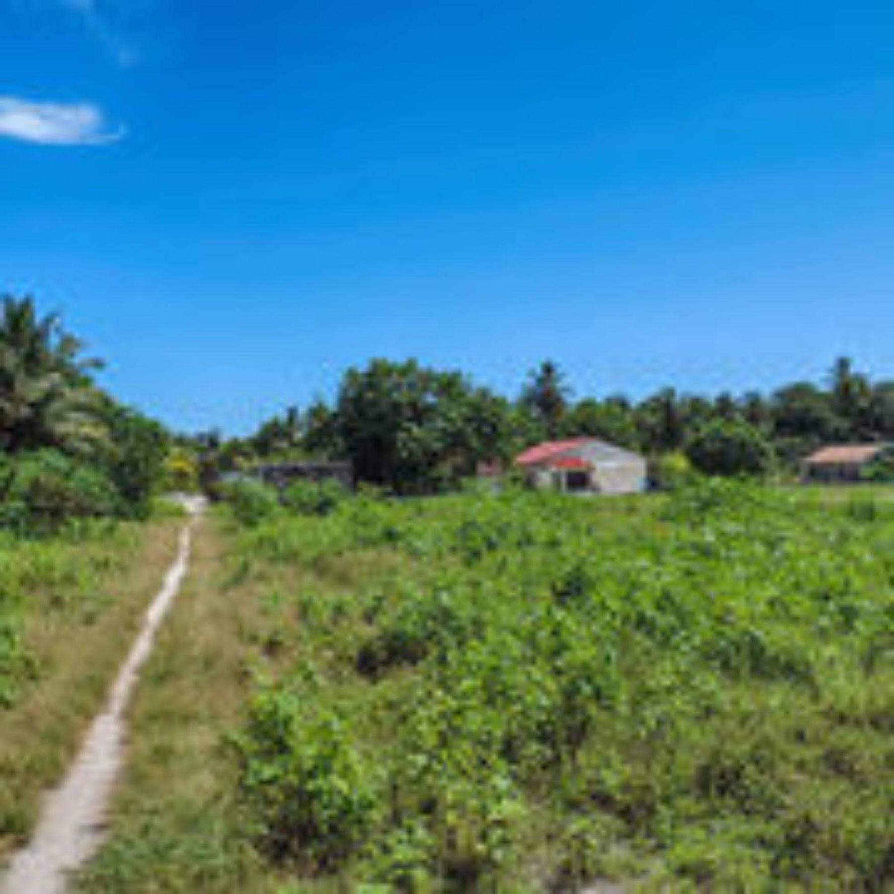Feridhoo Inn Exteriér fotografie